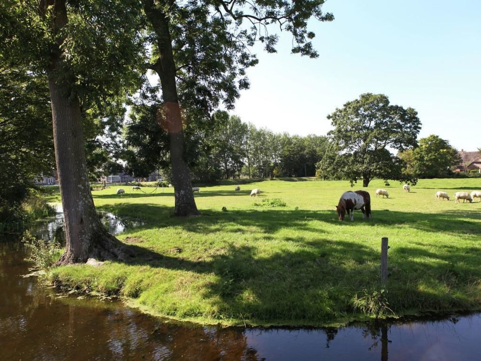 Ett fridfullt lantligt landskap med en damm, betande får och hästar.