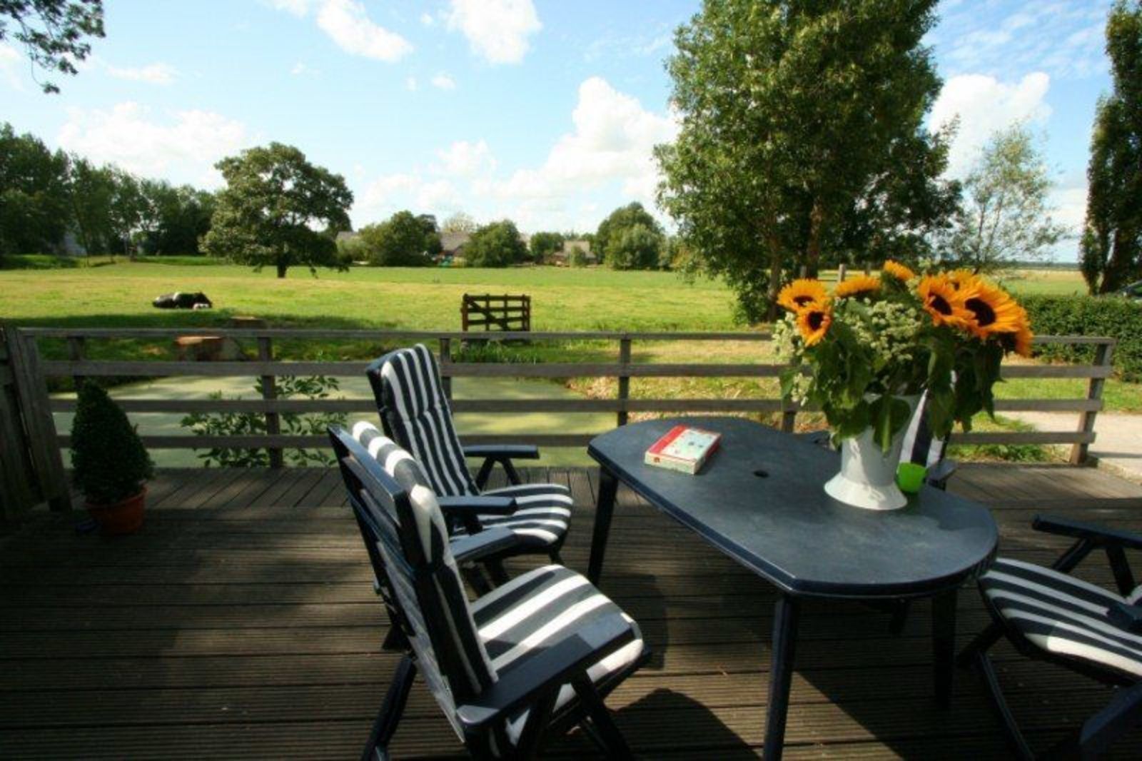 Comfort appartement | Terras