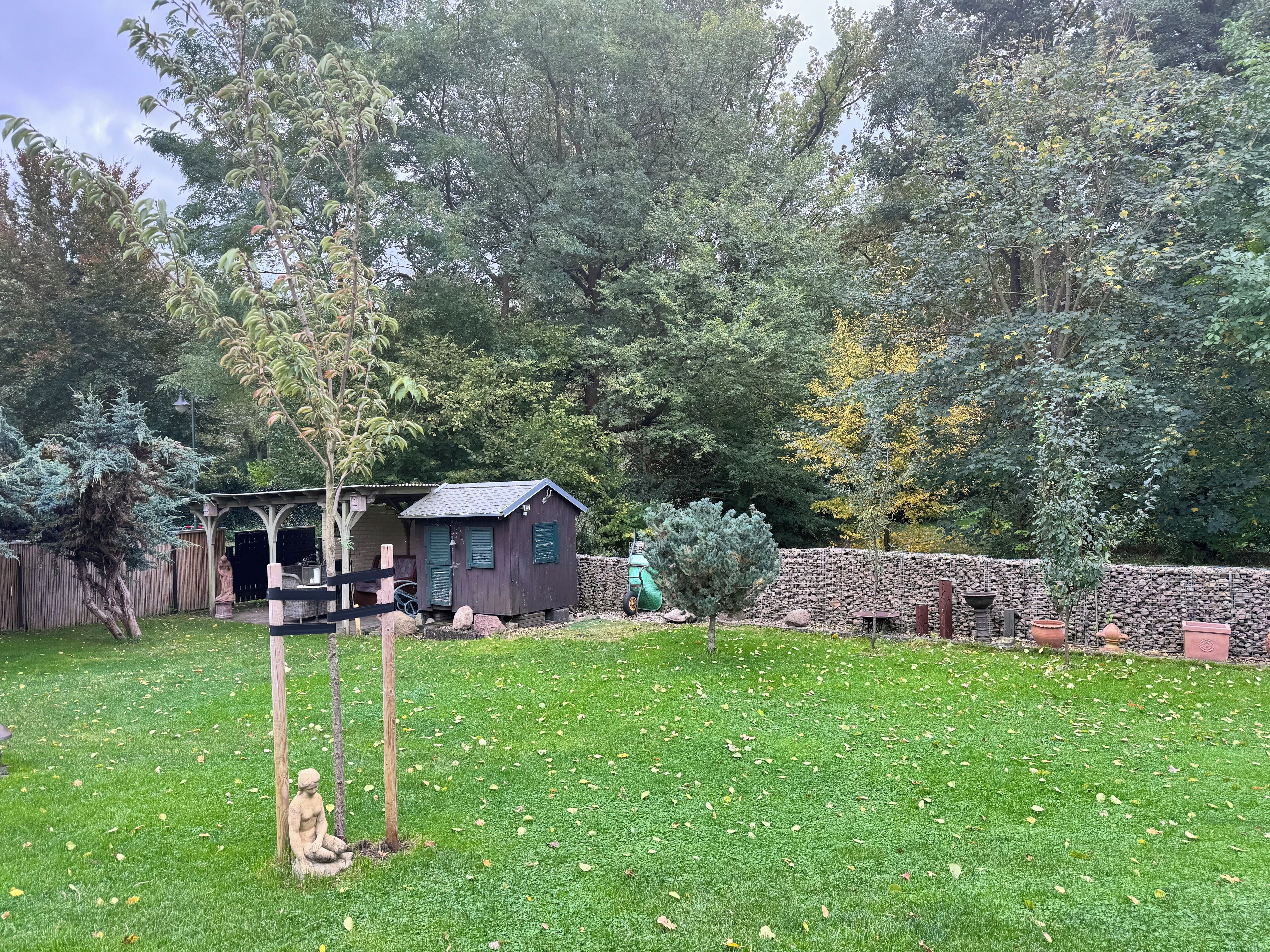 A backyard with a small wooden shed, a stone wall, and a variety of trees and shrubs.