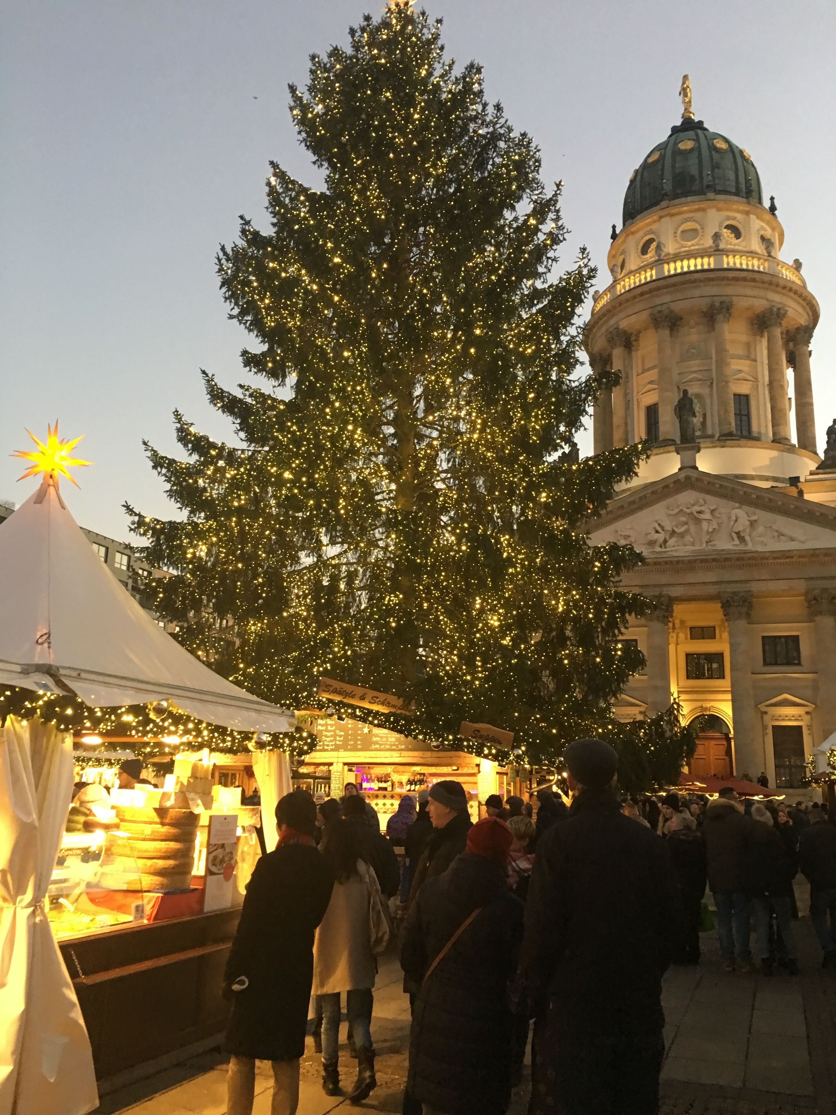 Ein großer Weihnachtsbaum mit Lichtern vor einem Gebäude mit Kuppel und Säulen.