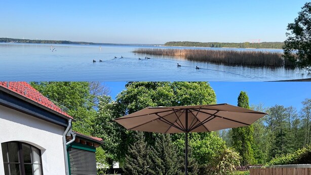Un patio con mobiliario exterior, una sombrilla grande y vistas a un lago con patos.