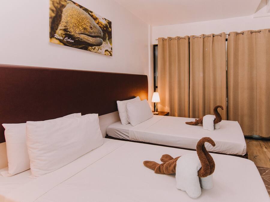 Een hotelkamer met twee bedden, een hoofdbord, een lamp, een gordijn en een aan de muur hangend schilderij.