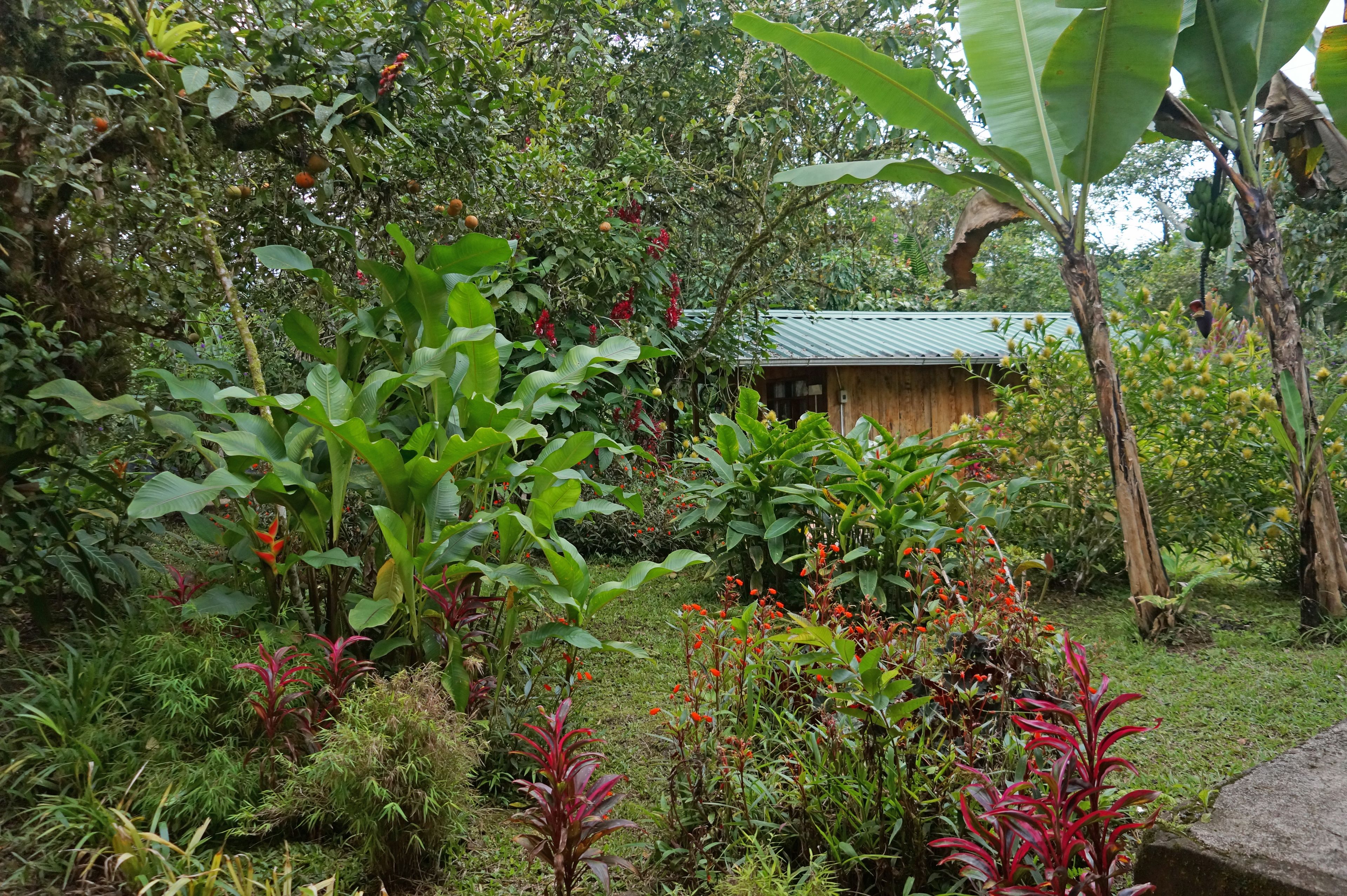 design cabin, garden view | in-room safe, blackout curtains, free wifi, bed sheets