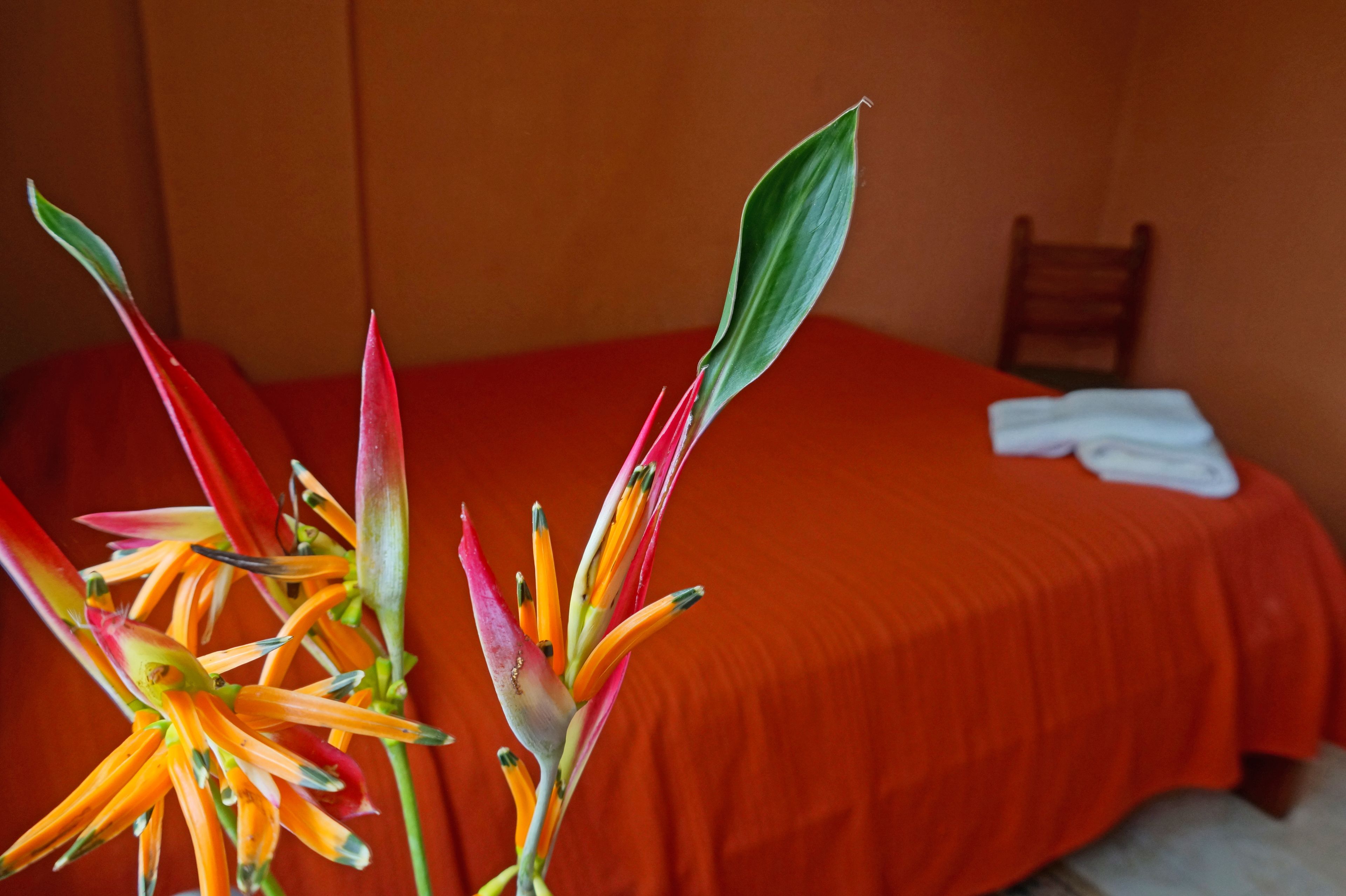 basic quadruple room | in-room safe, blackout curtains, free wifi, bed sheets