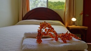 Business Double Room - Mindo Real (Mindo)