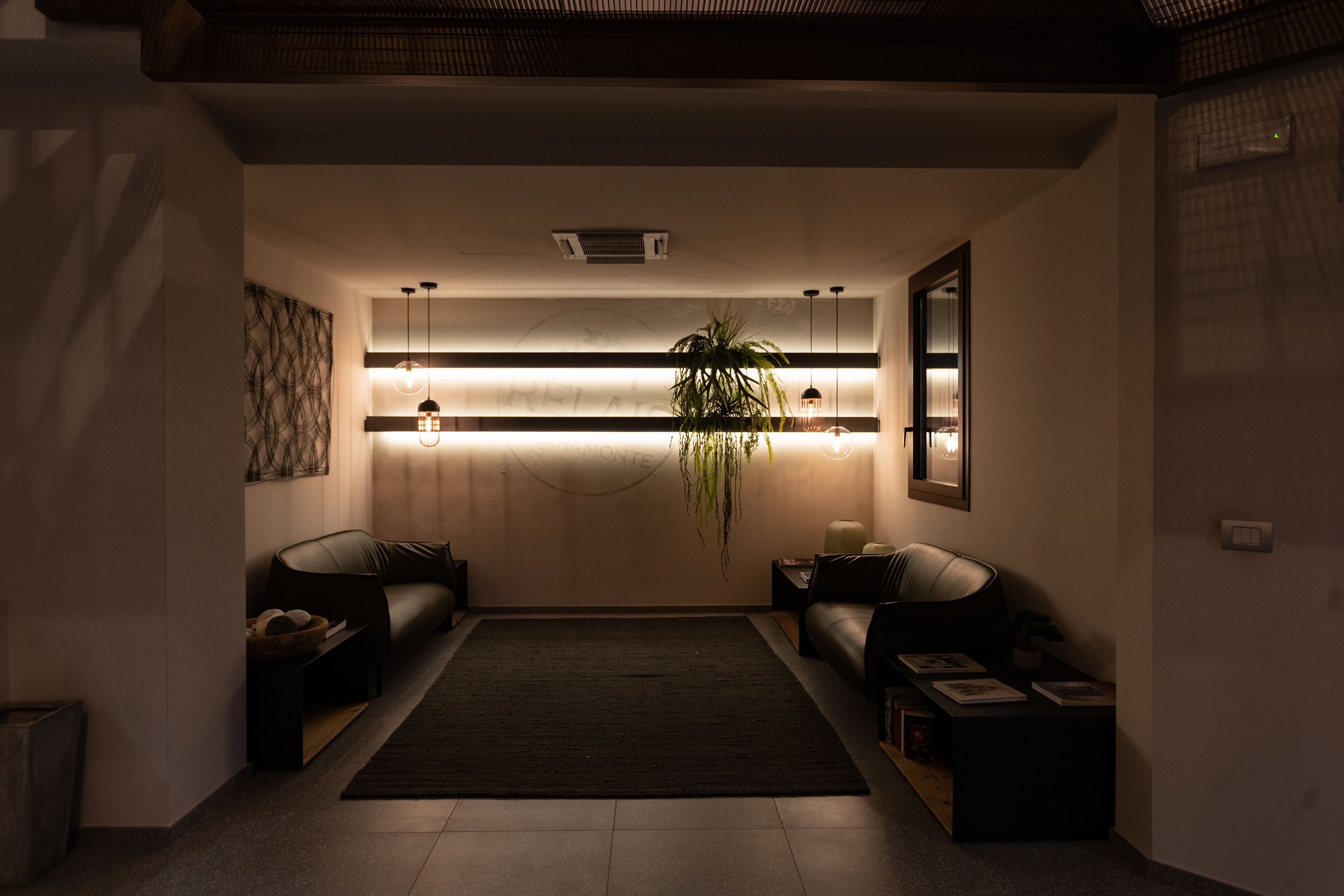 Un espace d’accueil moderne avec un tapis foncé, deux canapés, une plante et une étagère murale dotée d’un éclairage.