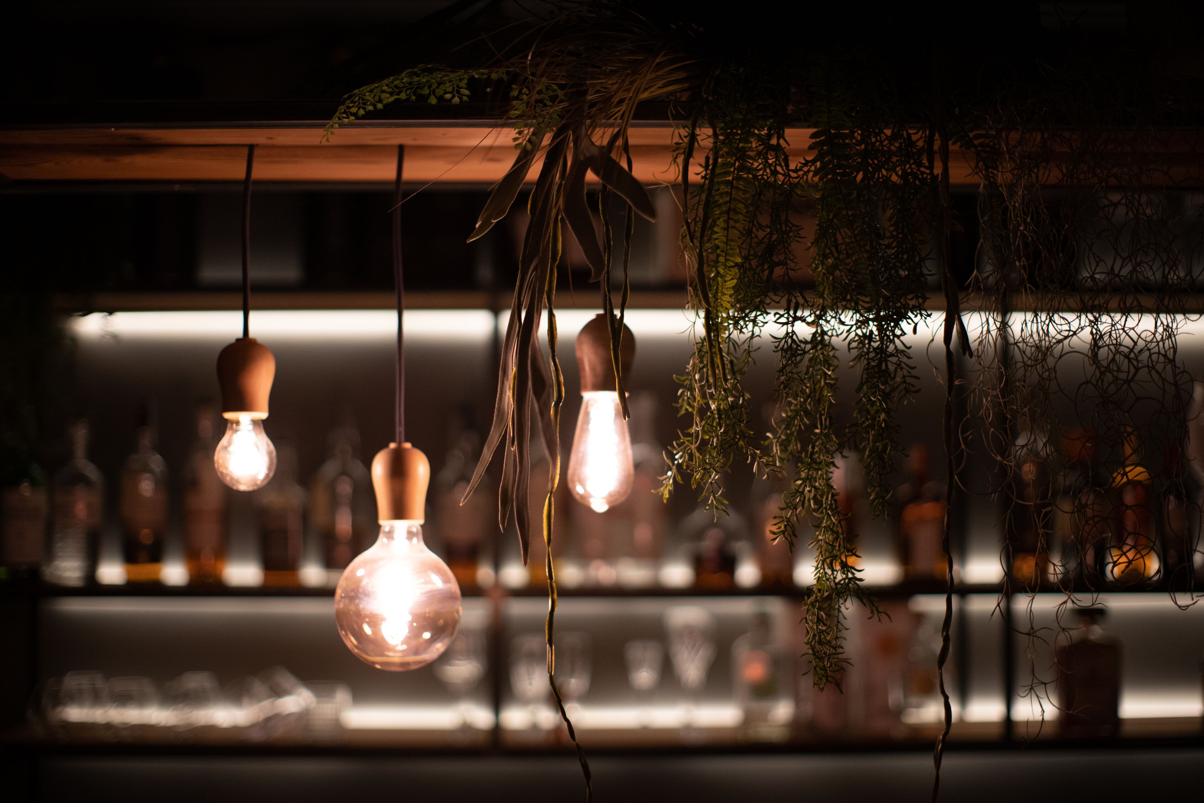 Des guirlandes lumineuses et des plantes suspendues dans un bar.