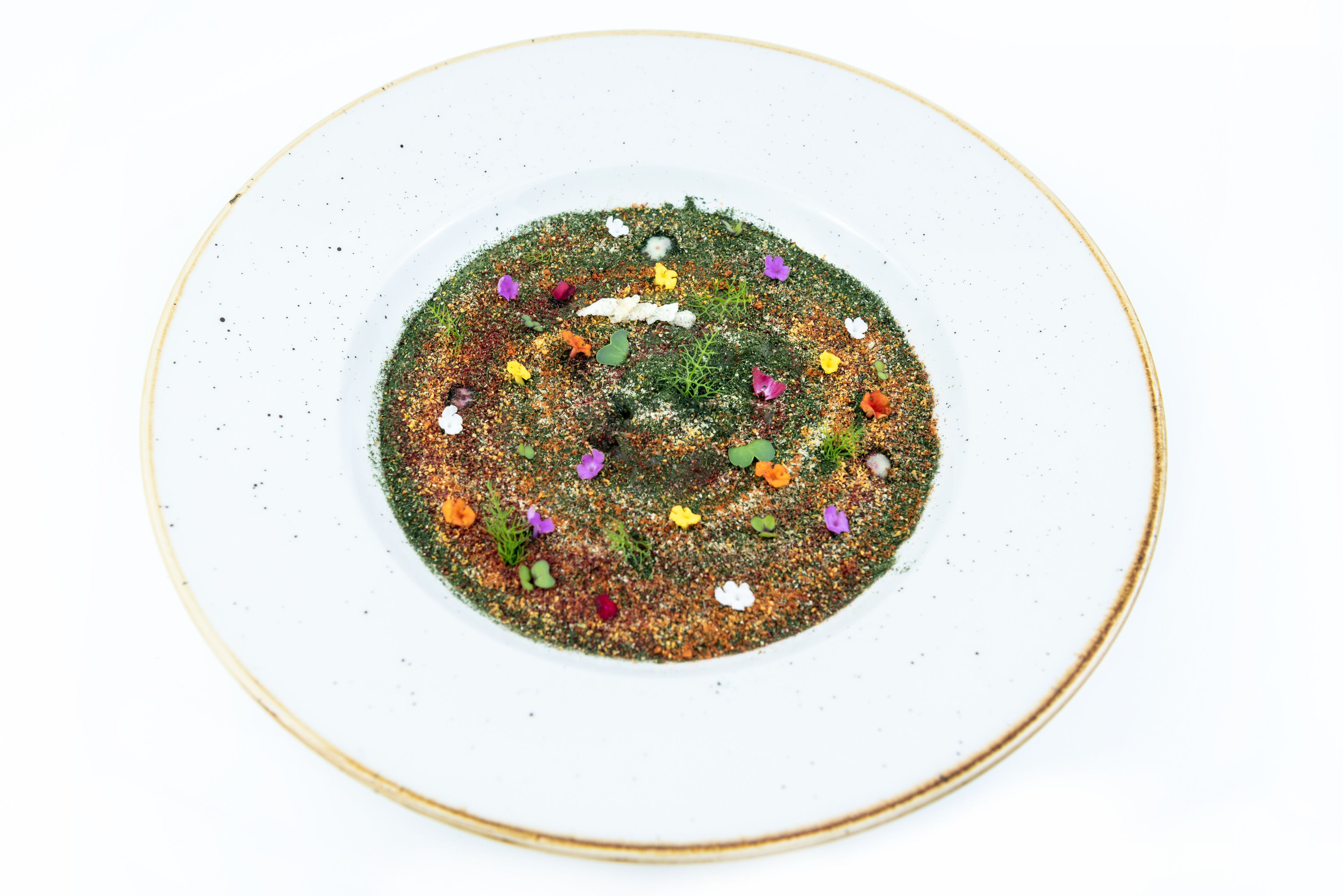 A white plate with a green and red textured center, surrounded by a gold rim.