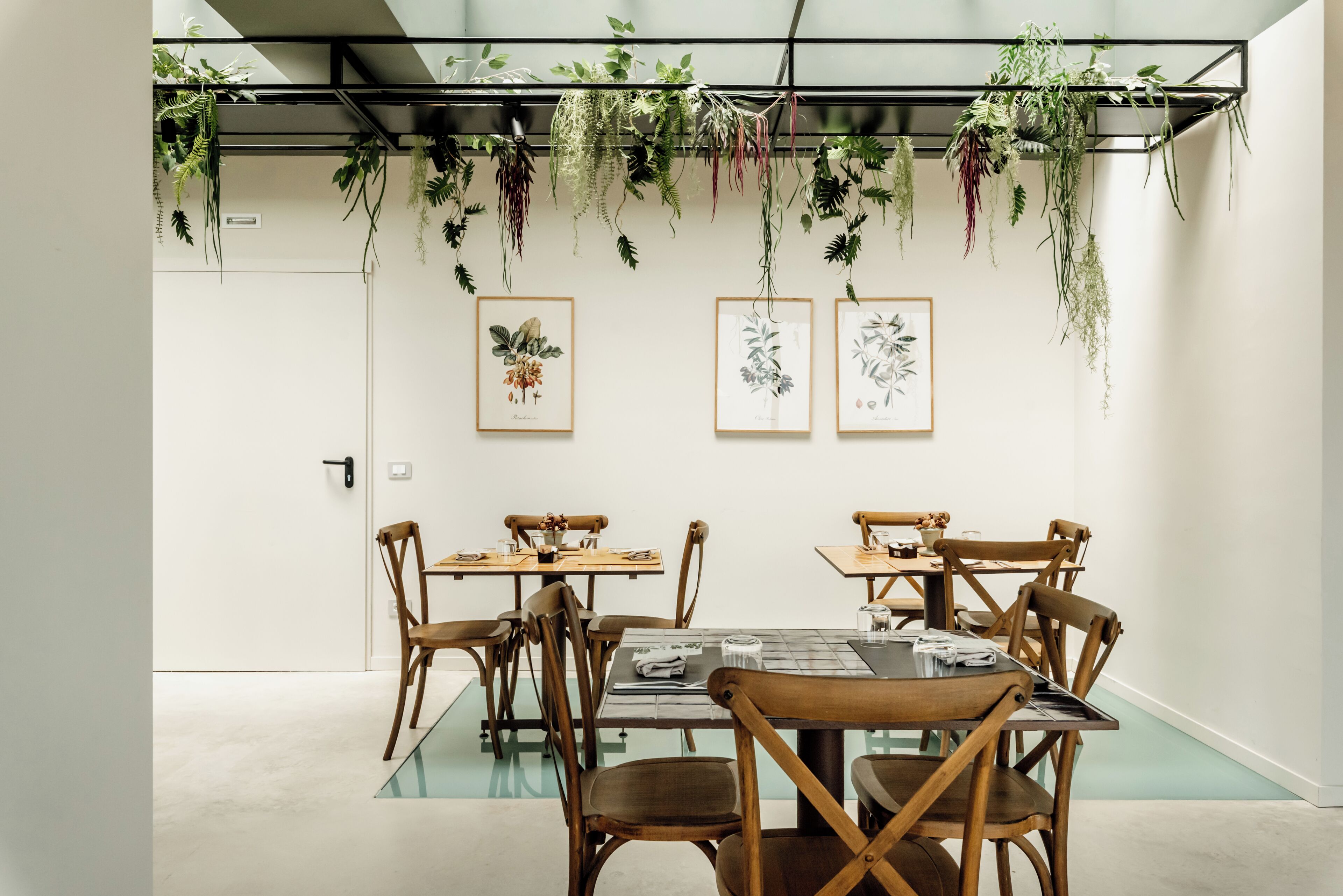 Un comedor con mesas y sillas de madera, plantas colgantes e ilustraciones botánicas enmarcadas en la pared.