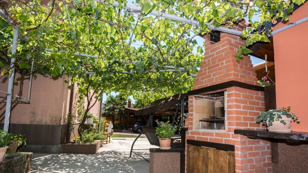 En udendørs patio med en murstagspejs, plantede krukker og et pergola overdækket med slyngplanter.