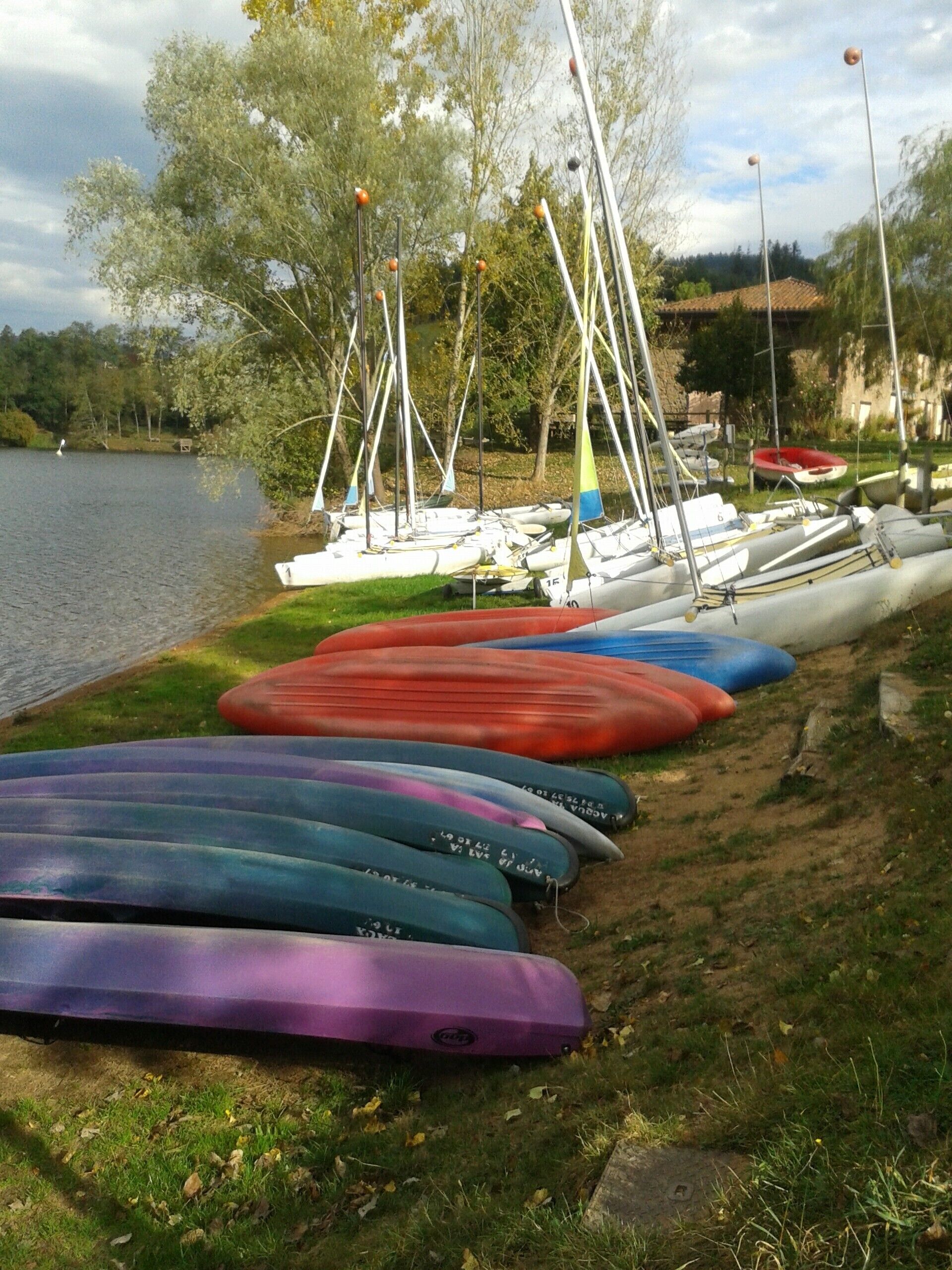 Una hilera de kayaks coloridos alineados en una zona verde a orillas de un lago, con árboles y un cuerpo de agua tranquilo al fondo.