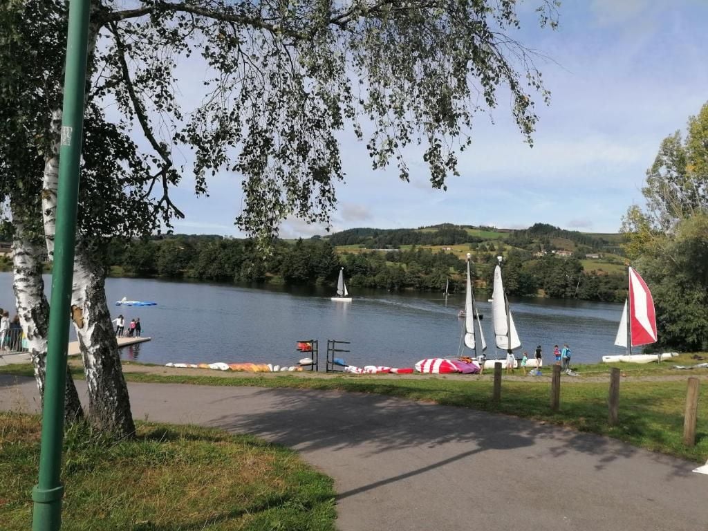 A lakeside park with a walking path, sailboats, and a sailboat rental area.
