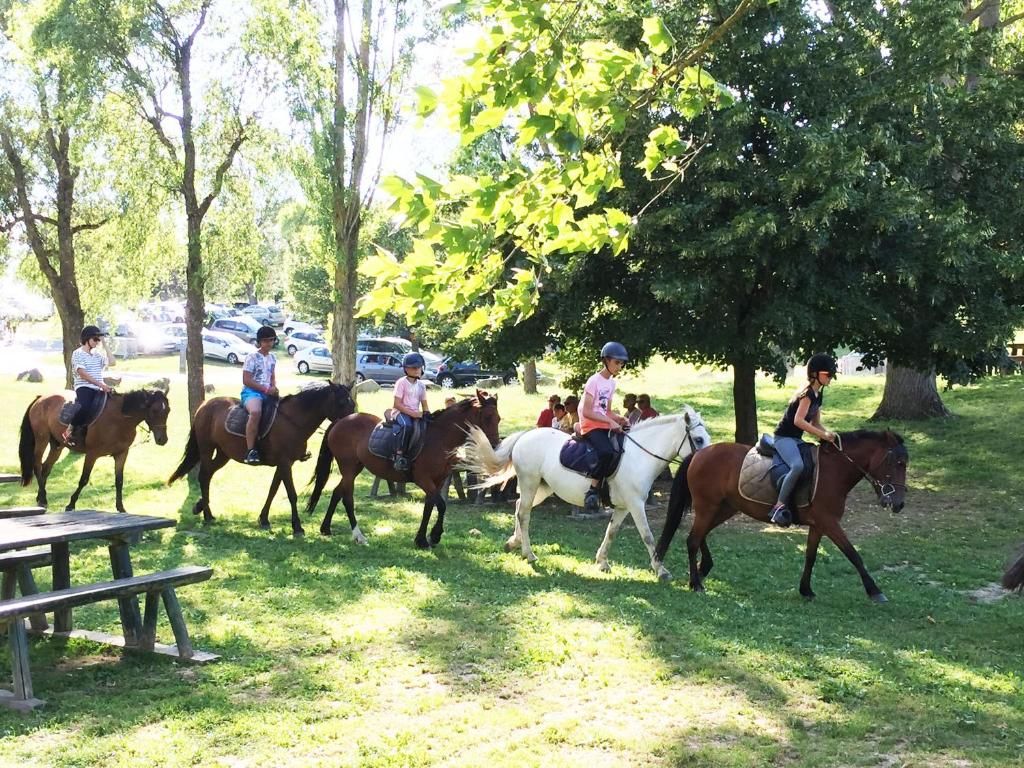 Un grupo de personas montando a caballo en un parque con árboles y una mesa de picnic.