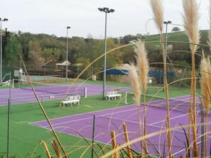 Sport court