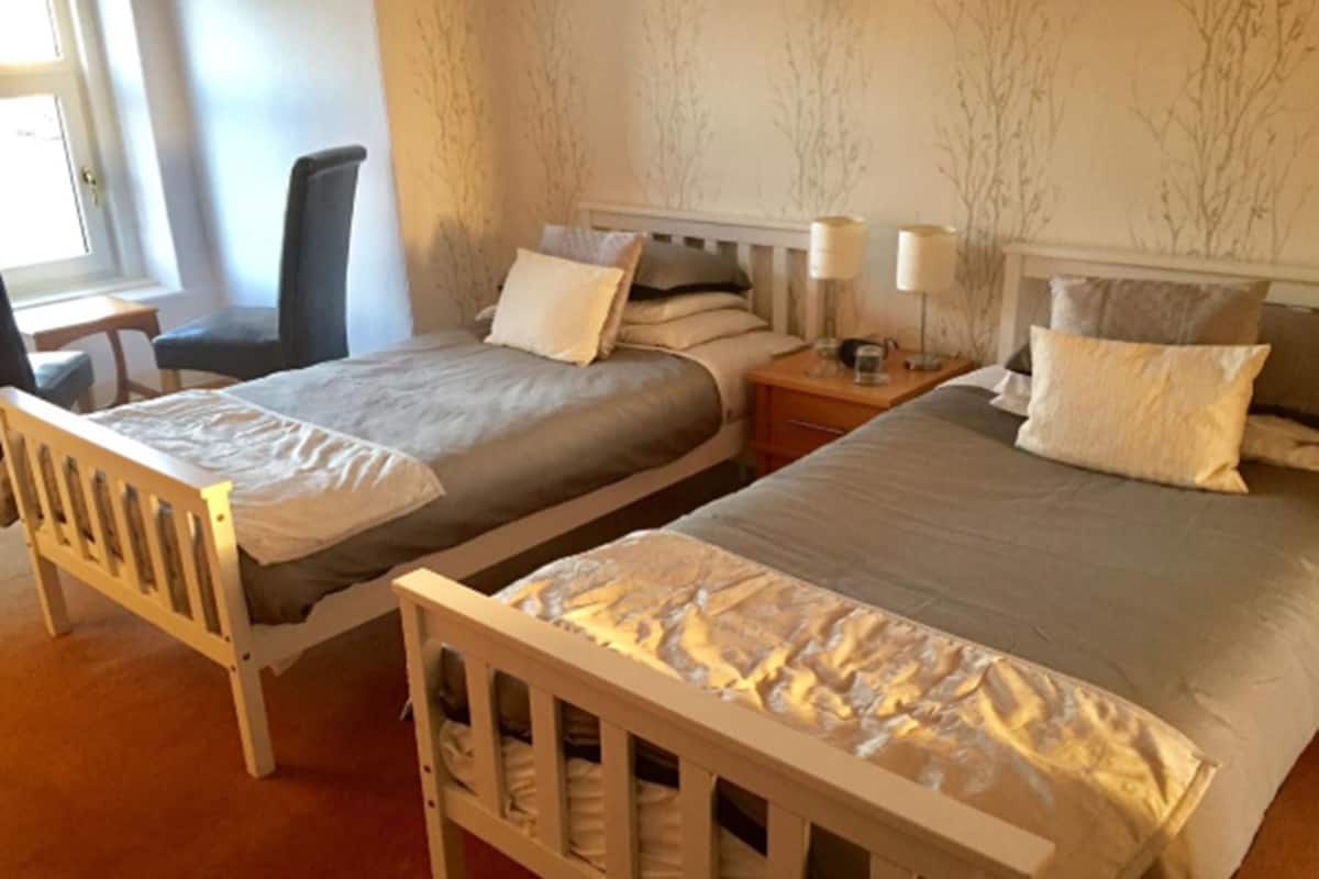 Twin Room | Iron/ironing board (on request), cribs (free), WiFi (free), bed sheets