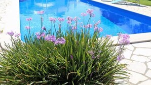 Una piscina con una casa blanca al fondo, rodeada de vegetación y un cielo despejado.