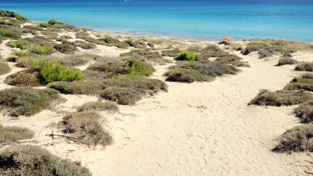 Una playa con dunas de arena y vegetación escasa.