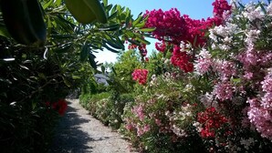 Un sendero en un jardín rodeado de vegetación exuberante y flores coloridas.