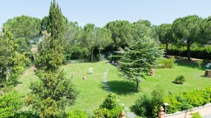 Un jardin bien entretenu, agrémenté de divers arbres et d’un sentier en pierre.