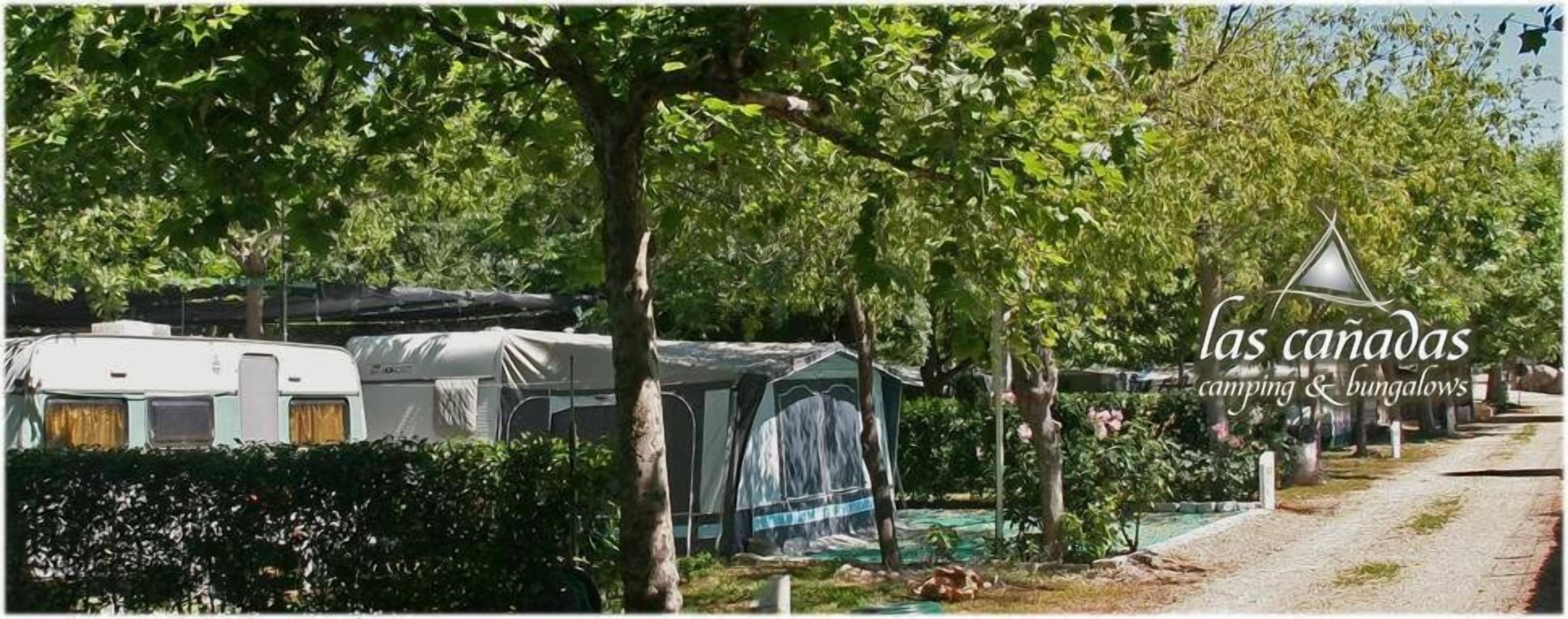 Camping Bungalows Las Cañadas Reviews, Deals & Photos 2026 - Expedia