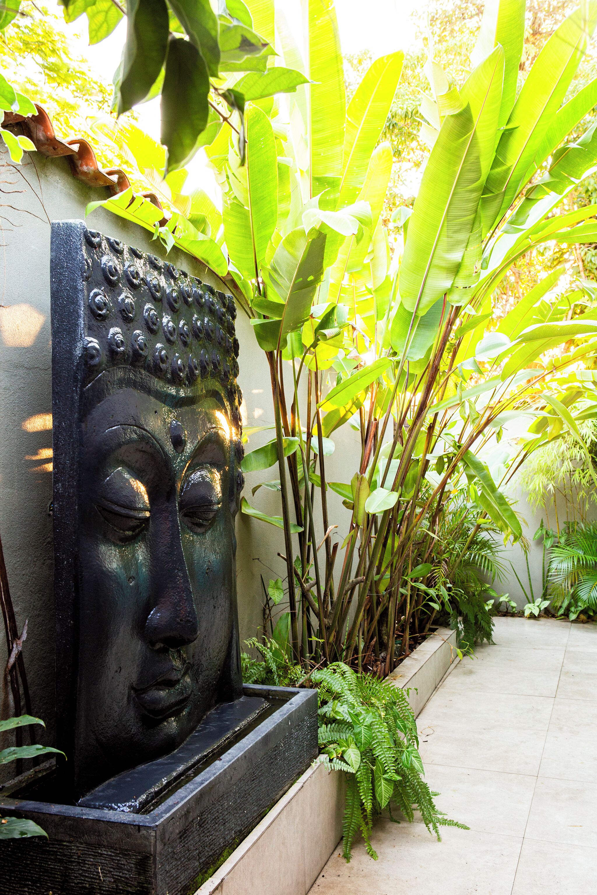 Escultura de cabeça de Buda em um vaso com plantas tropicais.
