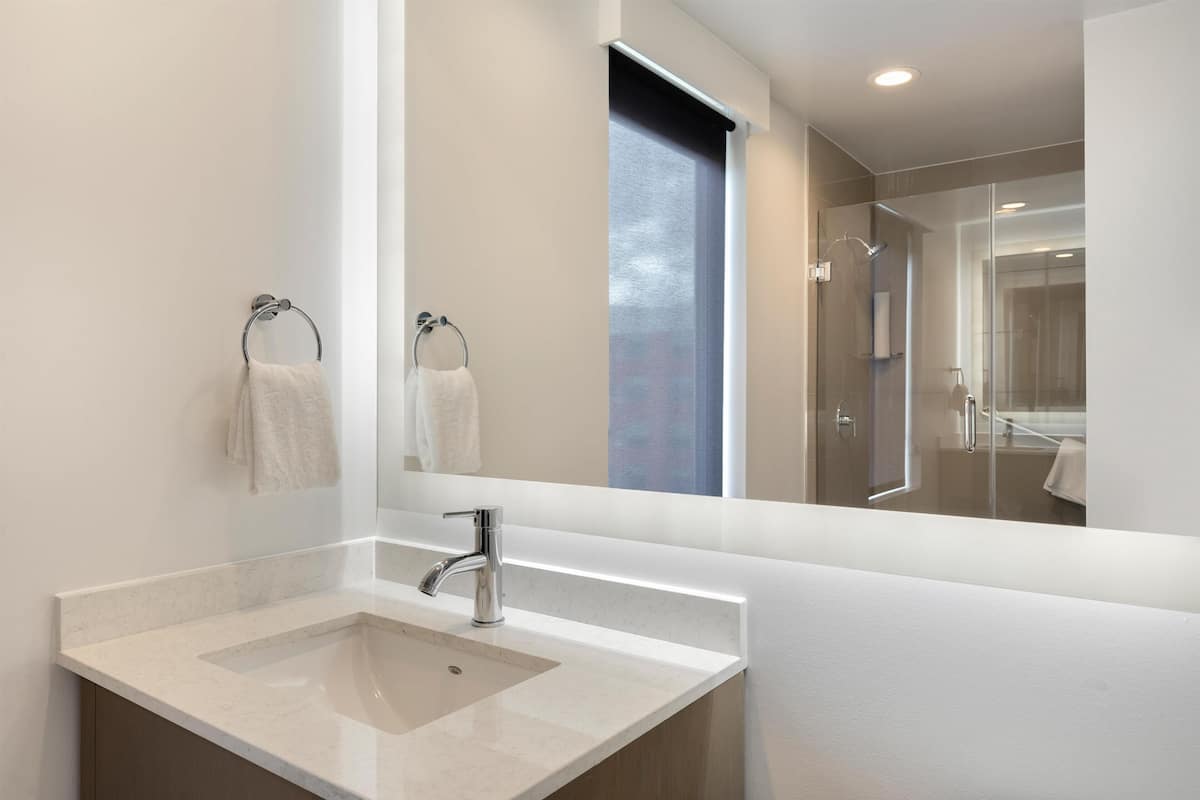 Room, 1 King Bed, Accessible (ADA Shower) | Bathroom