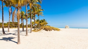 A beach with palm trees and a lifeguard tower. - iCoconutGrove Vacation Rentals (Miami)