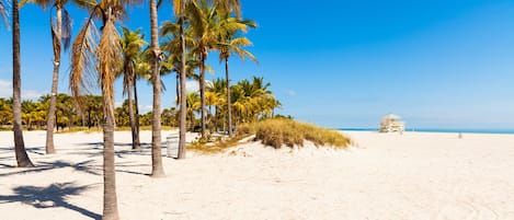 Nær stranden og solsenger