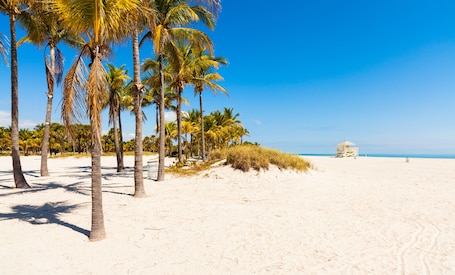 Una playa cerca, sillas reclinables de playa. iCoconutGrove Vacation Rentals