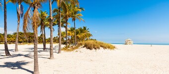 iCoconutGrove Vacation Rentals