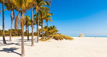 iCoconutGrove Vacation Rentals