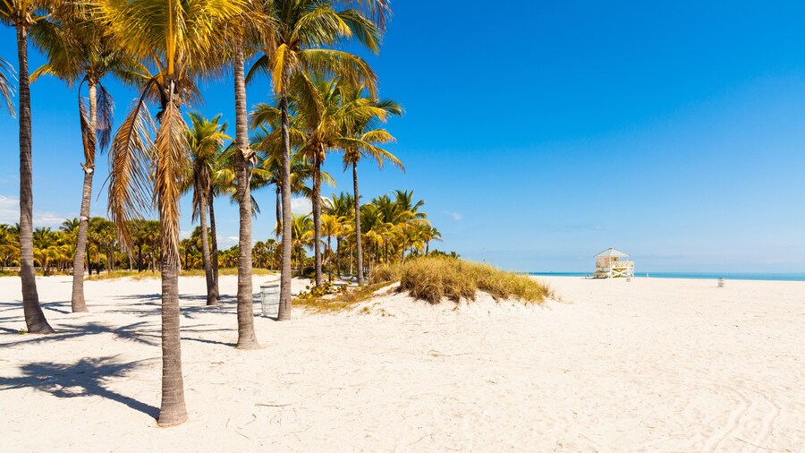 iCoconutGrove Vacation Rentals