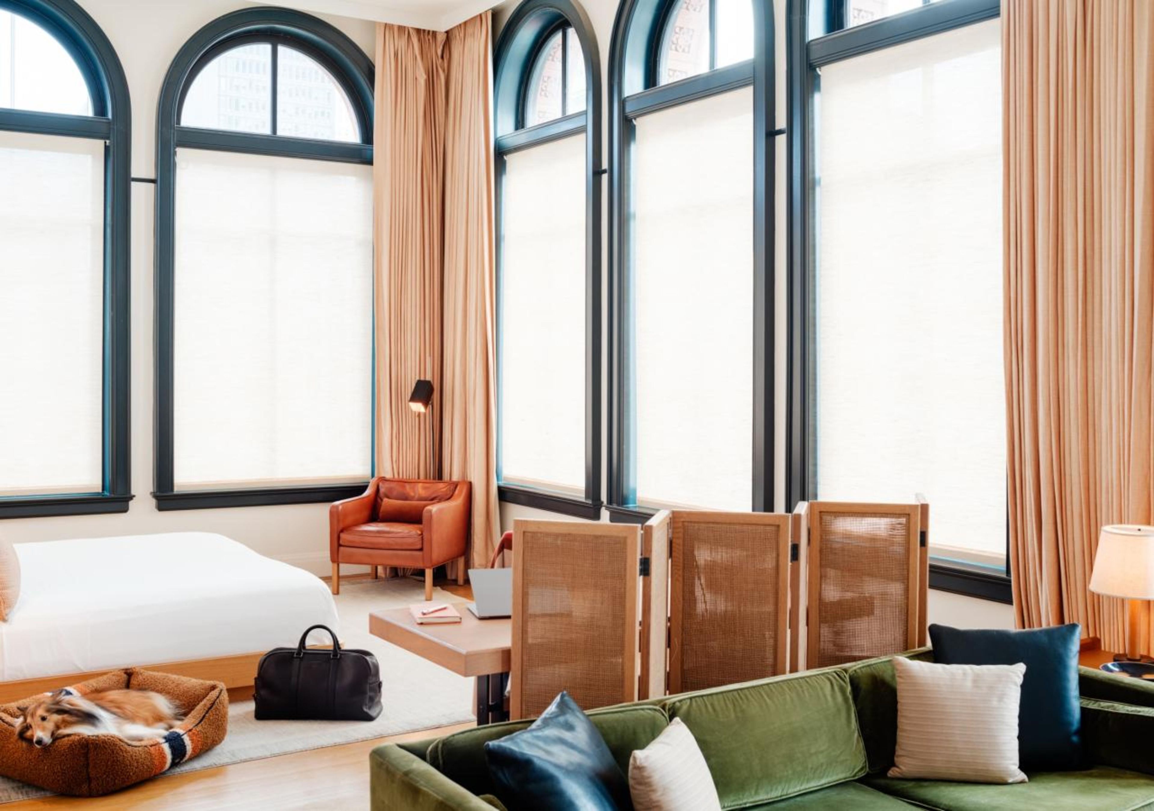 A hotel room with a large bed, a green sofa, a leather chair, a dog bed, and a desk with a laptop.