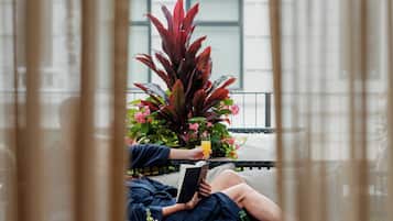 Una persona sentada en un balcón, con una planta en maceta, un vaso de bebida y un libro.