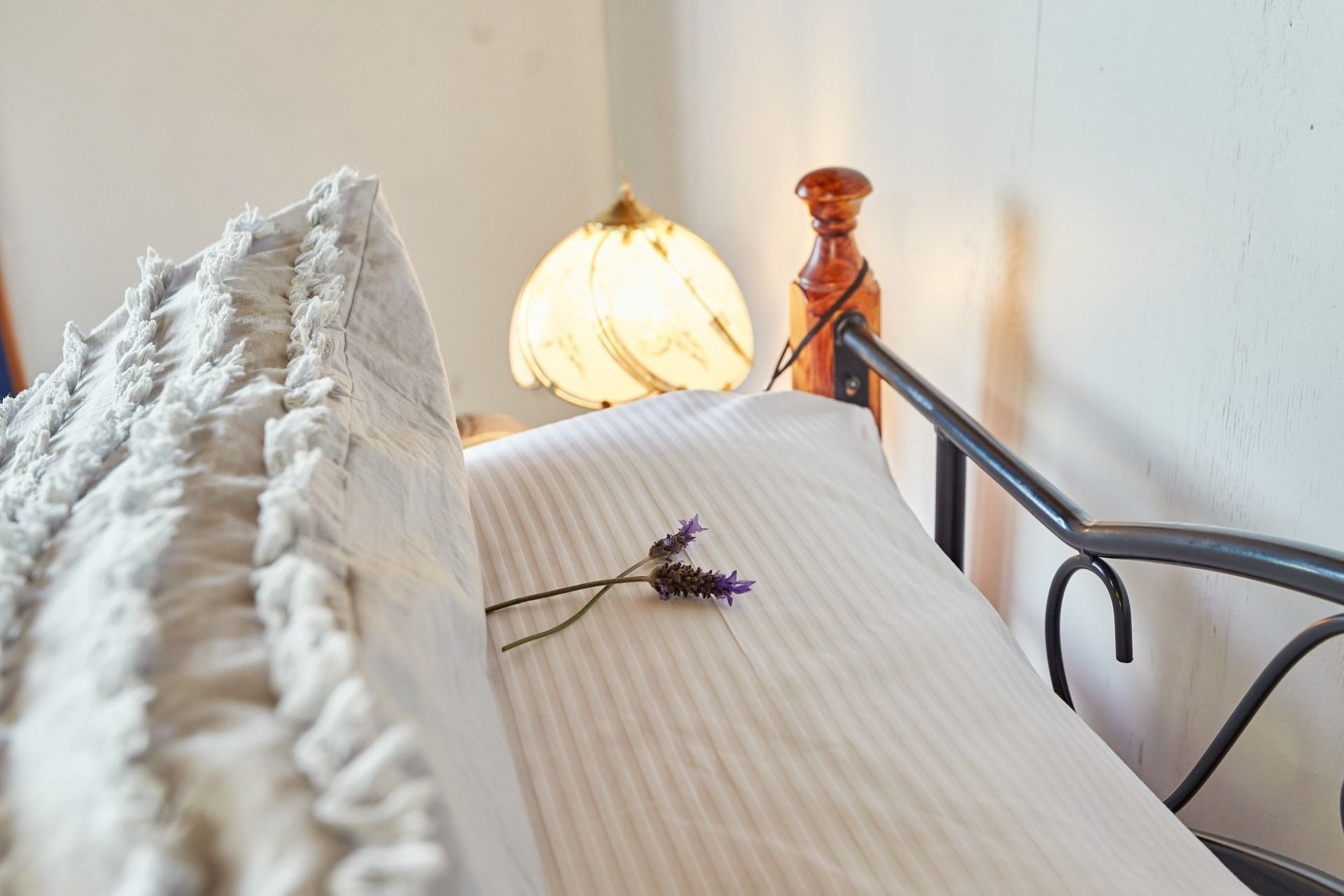 A bed with a white textured blanket and a single purple flower on the pillow.