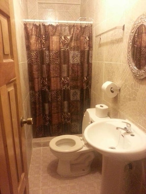 Departamento básico, 2 camas matrimoniales, para no fumadores | Baño | Regadera y toallas