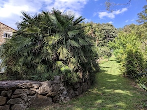 Property grounds - Stunning 15th Century Farmhouse with infinity pool in private grounds (Arles sur Tech)