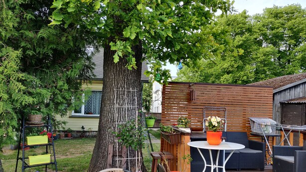 A wooden deck with outdoor furniture, a ladder, and potted plants. - Väike-Kuke Dream Apartment (Pärnu)