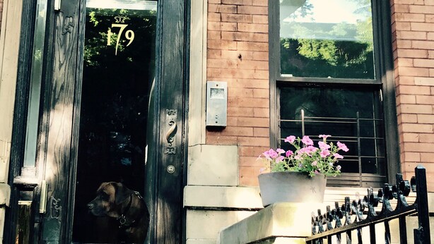 A two-story building with a dark wooden door marked with the number 179. - Beautiful Clinton Hill House (Brooklyn)