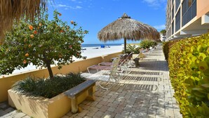 Un patio frente a la playa con sillones de descanso, una sombrilla de paja y vistas al océano.