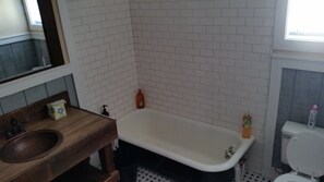 Combined shower/bathtub, hair dryer, towels, soap - Small Town Charm Tryon North Carolina (Tryon)