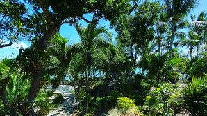 A wooden pathway leading through a tropical garden with various plants and trees. - Private Island, FL Keys Entire Island, Home, A/C, Boat, Dock, Beach, Bikes, WiFi (Marathon)