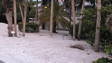 Overnattingsstedets uteområder