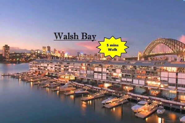 Marina - Waterview terrace in rock (Millers Point)