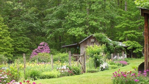 A garden with a wooden structure, surrounded by various flowers and greenery. - Sanitized! Creekside Cottage sits over Creek  Woods, Looking into Park!  Pets OK (Cosby)