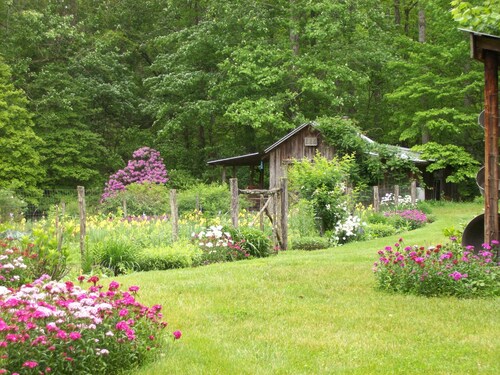 Sanitized! Creekside Cottage sits over Creek  Woods, Looking into Park!  Pets OK