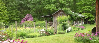 Sanitized! Creekside Cottage sits over Creek  Woods, Looking into Park!  Pets OK