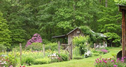 Sanitized! Creekside Cottage sits over Creek Woods, Looking into Park! Pets OK