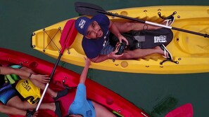 Unclassified image, 5 of 6, button