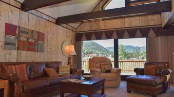 TV connectée, cheminée, lecteur de DVD